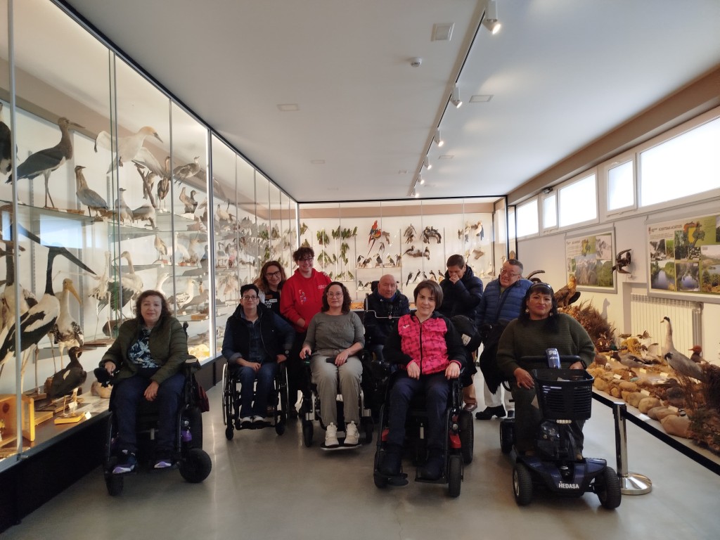 Recorrido por las Colecciones de la Universidad de León.